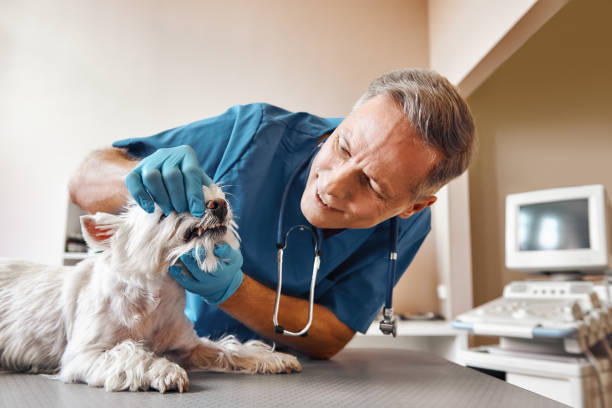 Best Walk-In Emergency Dentist in Salina, KS
